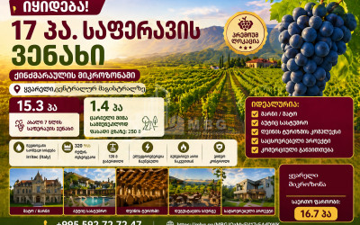 Продается Виноградник   Замковые Земля В Кварели