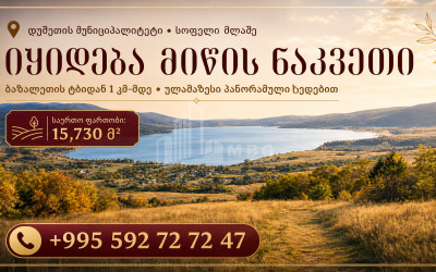 იყიდება სააგარაკე მიწის ნაკვეთი ბაზალეთში, დუშეთი