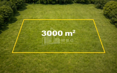 იყიდება სახნავ - სათესი მიწის ნაკვეთი დაბა შეკვეთილში, ოზურგეთი