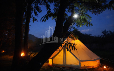 Business for sale Commercial Telavi Kakheti