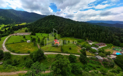 For Sale Country Land In on the Sun., Borjomi