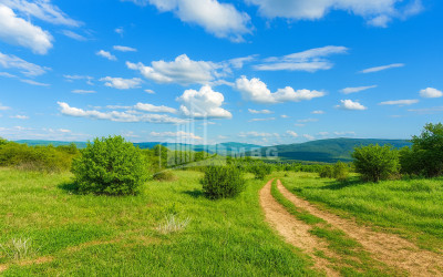 Продается Земля Душети Мцхета   Мтианети