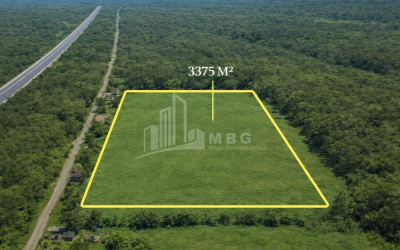 იყიდება სამშენებლო - საინვესტიციო მიწის ნაკვეთი დაბა შეკვეთილში, ოზურგეთი