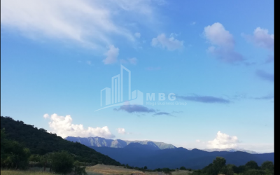 For Sale Vineyard - Chateau Land, in Matani