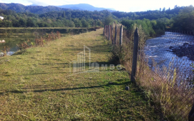 For Sale Land, Zeda Bakhvi, Ozurgeti Municipality, Municipalities of Guria