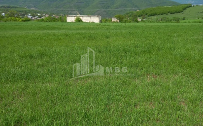 For Sale Country Land, in Village Baga