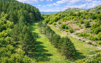 For Sale Land Daba Surami Khashuri Shida Kartli