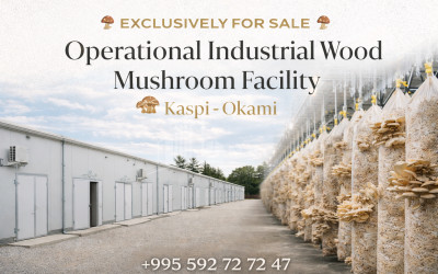 Продается Коммерческий Оками Каспси Шида Картли