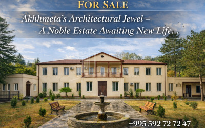 იყიდება კომერციული ფართი ახმეტა კახეთი