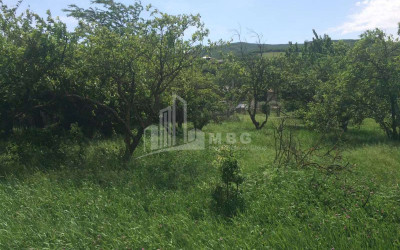 For Sale Land, Igoeti, Kaspi Municipality, Municipalities of Shida Kartli