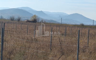 იყიდება მიწის ნაკვეთი სოფელი შაუმიანი მარნეული ქვემო ქართლი