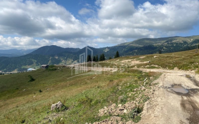 For Sale Country Land, in Khulo