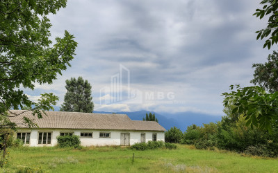 იყიდება კომერციული ფართი თელავი კახეთი