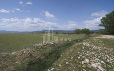 For Sale Vineyard - Chateau Land In Manavi, Sagarejo