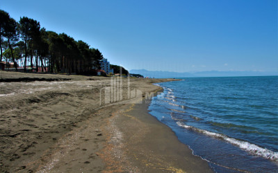 For Sale Land, Daba Ureki, Ozurgeti Municipality, Municipalities of Guria