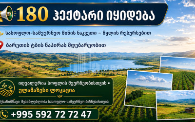 For Sale Agricultural Land In Tsalka