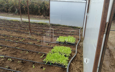 For Sale Land, Nosiri, Senaki, Samegrelo