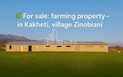 Продается Земля Зинобиани Кварели Кахети