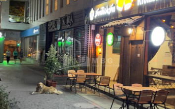 For Sale Flat, in Saburtalo