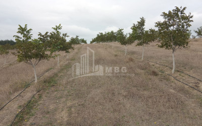 იყიდება მიწის ნაკვეთი ხაშური შიდა ქართლი