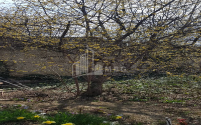 იყიდება სამოსახლო მიწის ნაკვეთი, სვანეთის უბანი