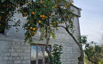 იყიდება ძველი აშენებული სახლი - აგარაკი ზემო ნატანებში, ოზურგეთი