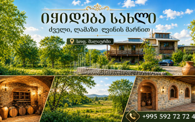 For Sale Old building House - Villa In Shalauri, Telavi