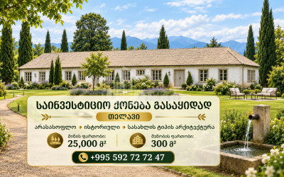 იყიდება შატო / ღვინის ქარხანა / მარანი კომერციული ფართი თელავში
