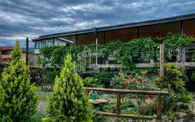 For Sale Commercial Kvareli Kakheti