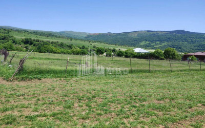 Продается Дачные Земля, в  Манглиси