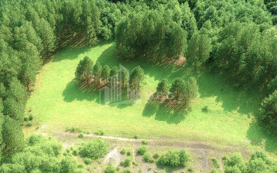 For Sale Land Daba Surami Khashuri Shida Kartli