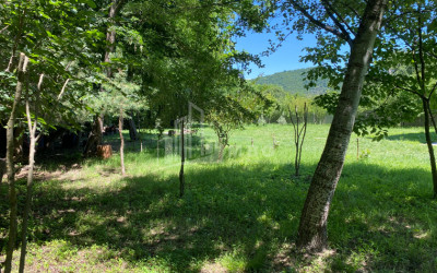 იყიდება ბიზნესი კომერციული ფართი თელავი კახეთი