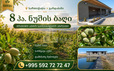 For Sale Orchards Land In Sartichala, Gardabani