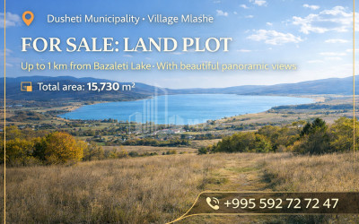 For Sale Country Land In Dusheti