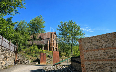 For Sale Old building House - Villa In Sagarejo