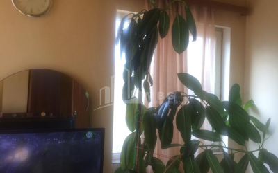 Продается Дом - Вилла, в Ортачала