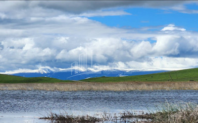 იყიდება მიწის ნაკვეთი წალკა ქვემო ქართლი