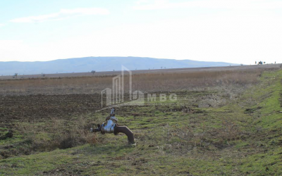 For Sale Orchards Land, in Kvemo Teleti