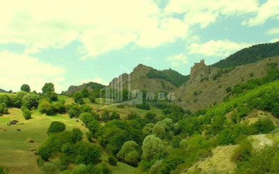 იყიდება სააგარაკე მიწის ნაკვეთი, ბორჯომი