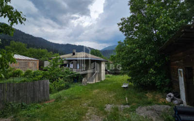 For Sale House Villa Kvibisi Borjomi Samtskhe   Javakheti