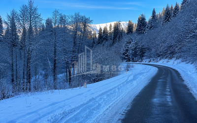 For Sale Country Land In Andesite, Borjomi