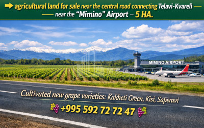 იყიდება კომერციული   არასასოფლო მიწის ნაკვეთი კახეთში