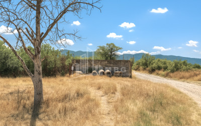 For Sale Land Telatgori Kaspi Shida Kartli