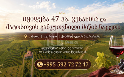 For Sale Vineyard - Chateau Land In Kvareli