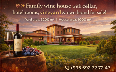Продается Замок / Винный завод Коммерческий В Дзегви, Мцхета