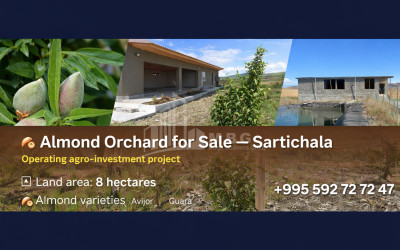 For Sale Orchards Land In Sartichala, Gardabani