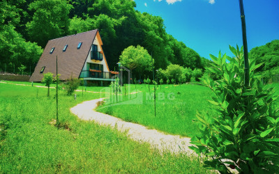 For Sale House Villa Tskhvarichamia Mtskheta Mtskheta   Mtianeti