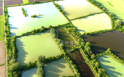 For Sale Land Kvemo Alvani Akhmeta Kakheti