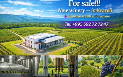 For-Sale-Commercial-Kvareli-Kakheti