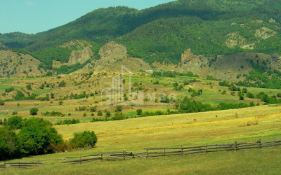 For Sale Country Land, in Borjomi